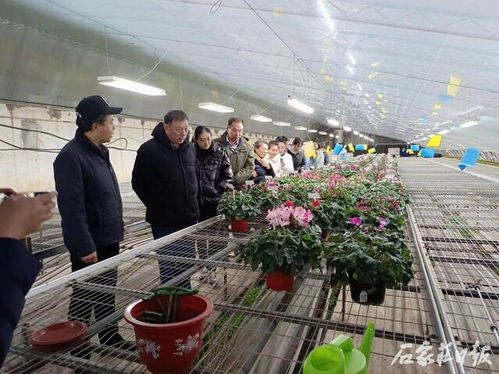 河北省花卉现代种业科技创新团队组织召开会议